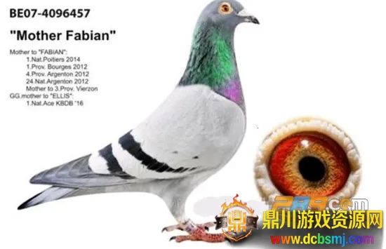 �����2026���°汾