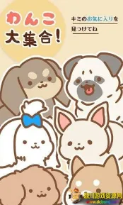 狗狗全明星2026官方正版 狗狗全明星2026官方正版