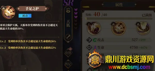 ɽ������