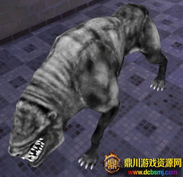 ��֮��2026���°汾