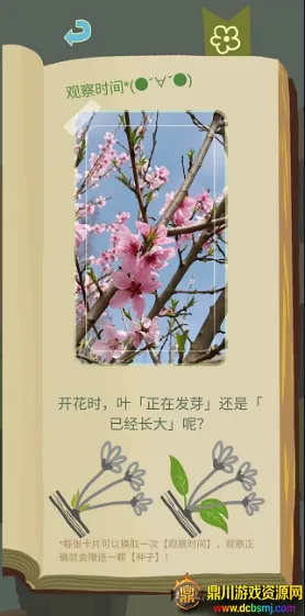 ��ũ������������