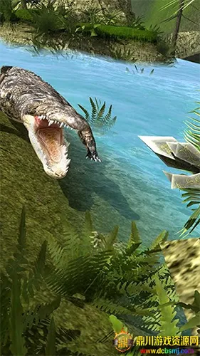 ����21���ƽ��